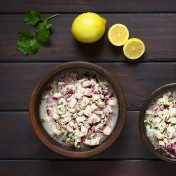 Chilean Ceviche Stock Photos
