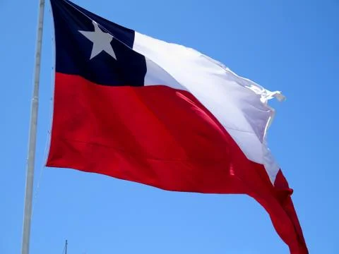 Chilean flag. Stock Photos