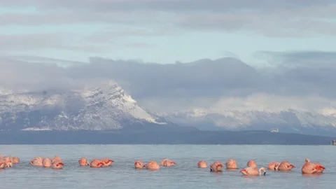 Big Biggge5R Stock Videos – Royalty-Free HD & 4K Videos | Pond5