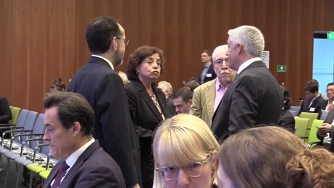 Chilean Mining Minister commits to responsible extraction of mineral resources,  Stock Footage 318727123