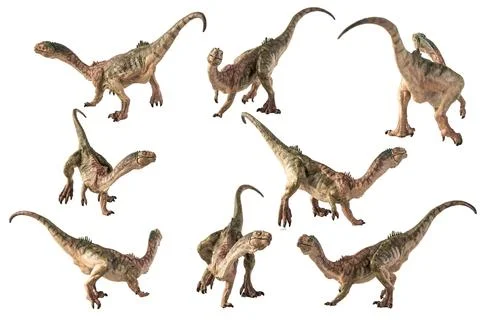 Chilesaurus Dinosaur on white background Stock Illustration