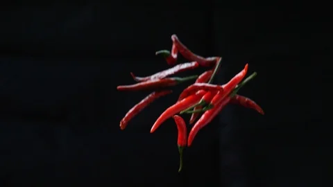 Chili Fly - Black Backdrop | Clip 2 Video stock 92887828