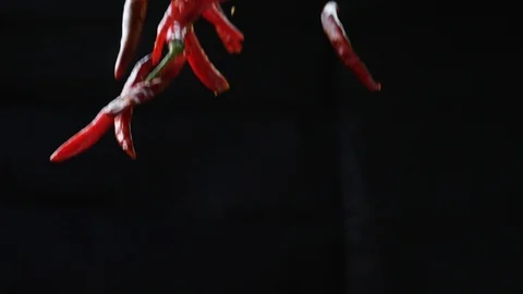 Chili Fly - Black Backdrop Video stock 92887834