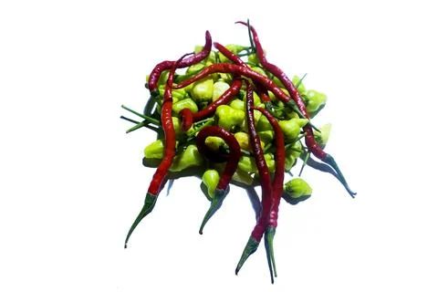 Chili fruit Stock Photos