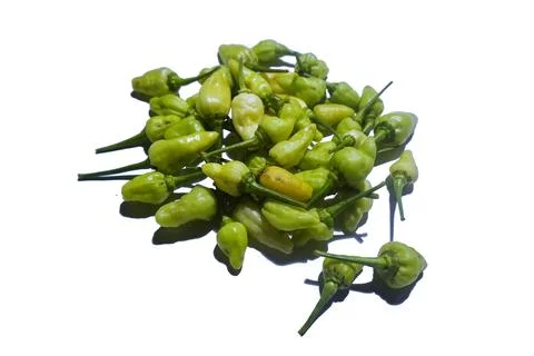 Chili fruit Stock Photos