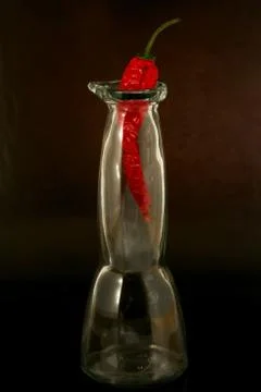 Chili pepper in the bottle Fotos de archivo