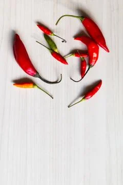 The chili pepper (chile, chile pepper, chilli pepper, or chilli) Stock Photos