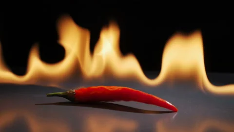 Chili pepper in flame on a black background. Stock Footage 106080058
