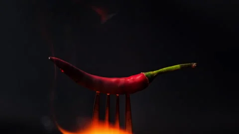 Chili pepper on fork with flames on black background. Burning red chili Video stock 260532980