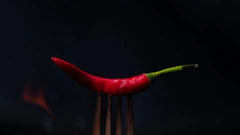 Chili pepper on fork with flames on black background. Burning red chili Video stock 260533025