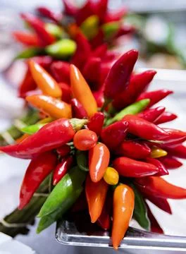 Chili pepper, group of different types and colors of chili pepper Stock Photos
