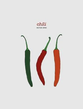 Chili Pepper hand drawn vector illustration. Stock Illustration