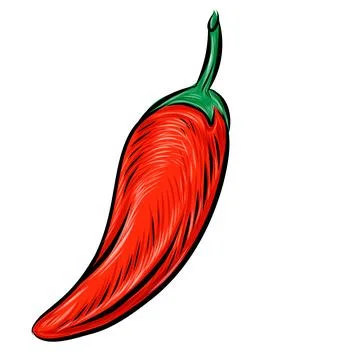 Chili Pepper hand drawn vector illustration Stock Illustration