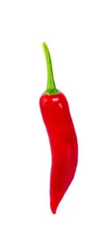 Chili pepper isolated on a white background Stock Photos