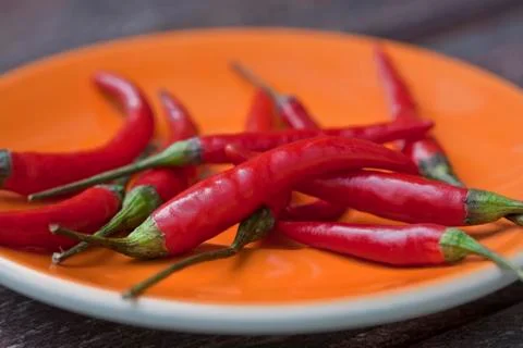 Chili pepper Stock-Fotos