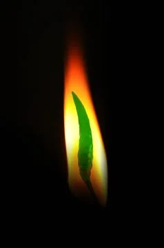 Chili pepper Stock Photos