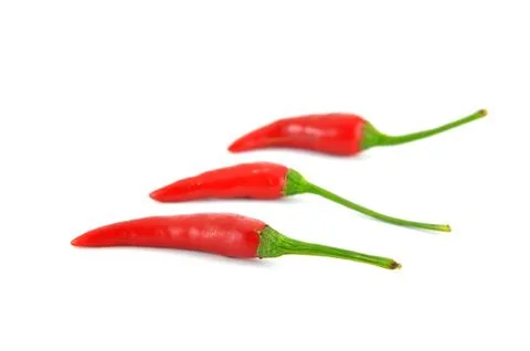 Chili pepper Stock Photos