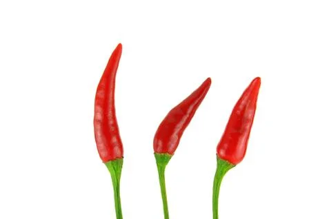 Chili pepper Stock Photos