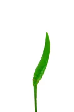 Chili pepper Stock Photos