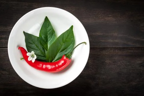 Chili pepper Stock Photos