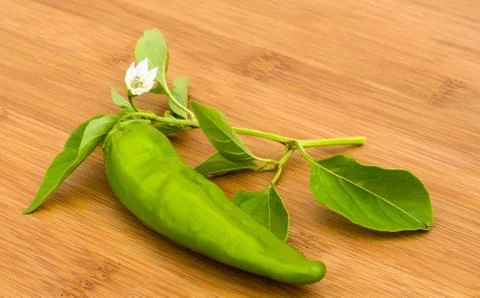 Chili pepper, Stock Photos