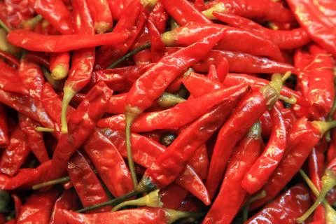 Chili pepper Stock Photos