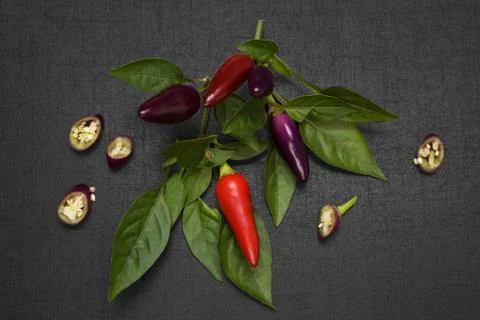 Chili pepper. Stock Photos