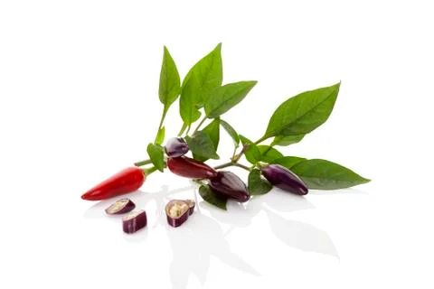 Chili pepper. Stock Photos