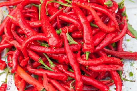 Chili pepper Stock Photos