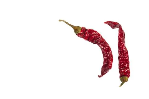 Chili pepper Фото