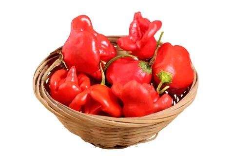 Chili pepper. 写真素材