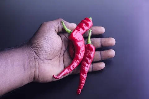 Chili pepper Stock Photos