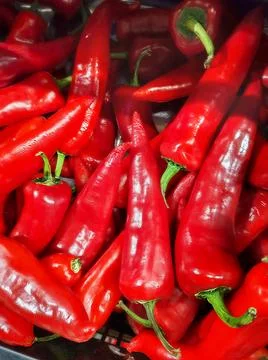 Chili pepper Stock Photos