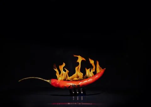 Chili pepper Foto stock