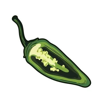 Chili pepper slice Stock Illustration