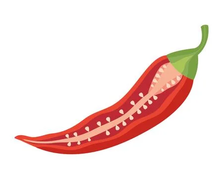 Chili pepper slice イラスト素材