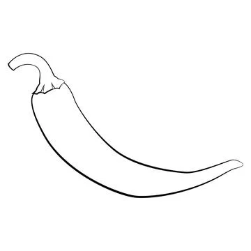 Chili pepper in a thin line. Vector on a white background Stock Illustration