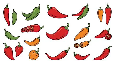 Chili Pepper Vector Collection with Red Green and Orange Hot Peppers Stock Illustration