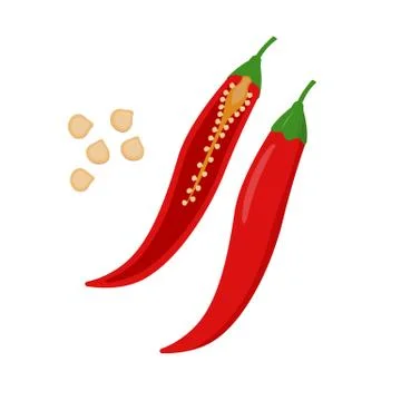 Chili pepper vector flat illustration. Whole and halved chilli and seeds Stock-Illustration