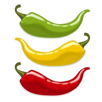 Chili peppers. isolated vector Stock Illustration