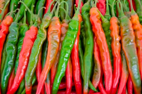 Chili peppers Stock Photos