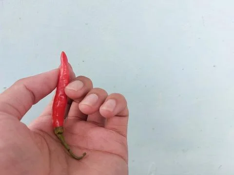 Chili peppers Stock-Fotos