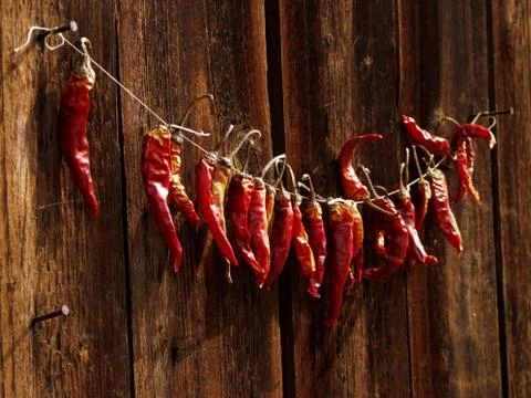 Chili peppers on a string Stock Photos