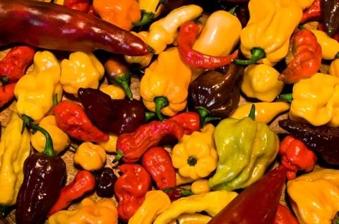 Chili Stock Photos