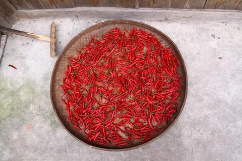 Chili Stock Photos