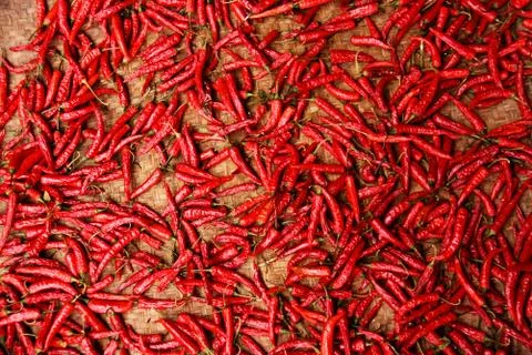 Chili Stock Photos
