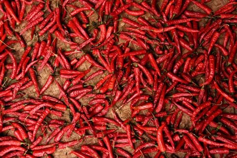 Chili Stock Photos