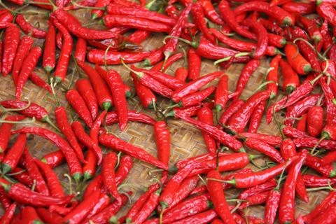 Chili Stock Photos