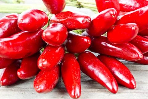 Chili Stock Photos