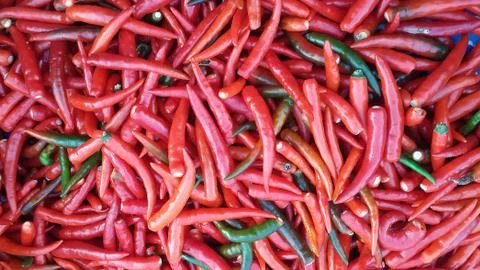 Chili Stock Photos
